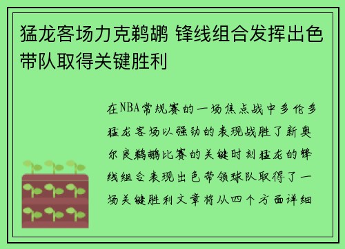 猛龙客场力克鹈鹕 锋线组合发挥出色带队取得关键胜利